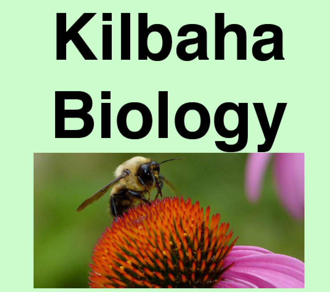 Biology Textbook