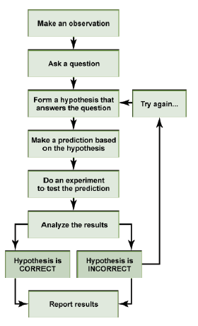 Biology Chapter 1 - The Study of Life