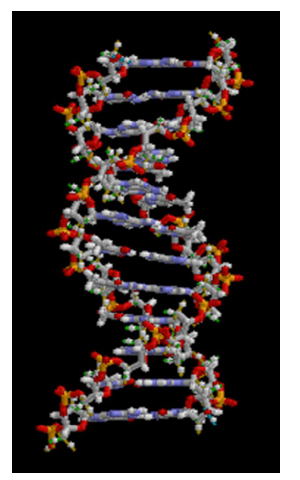 Biology Chapter 1 - The Study of Life
