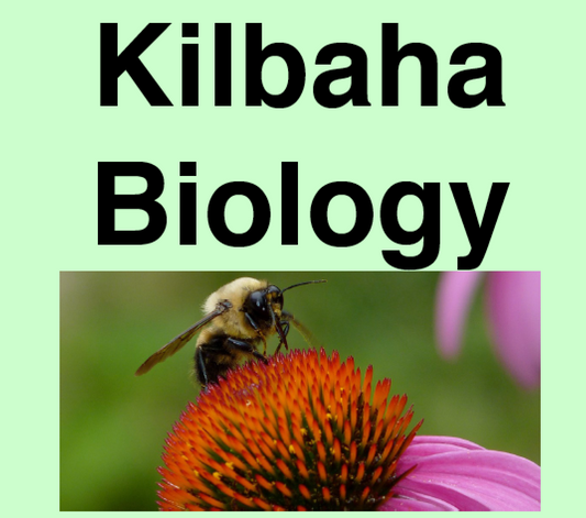 Biology Textbook